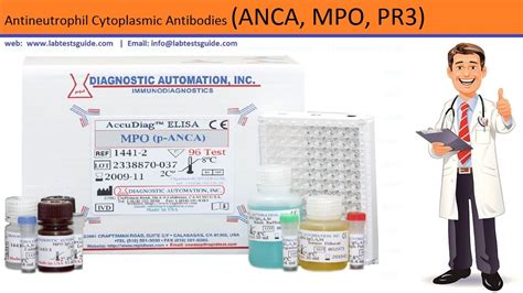 pr3 anca testing